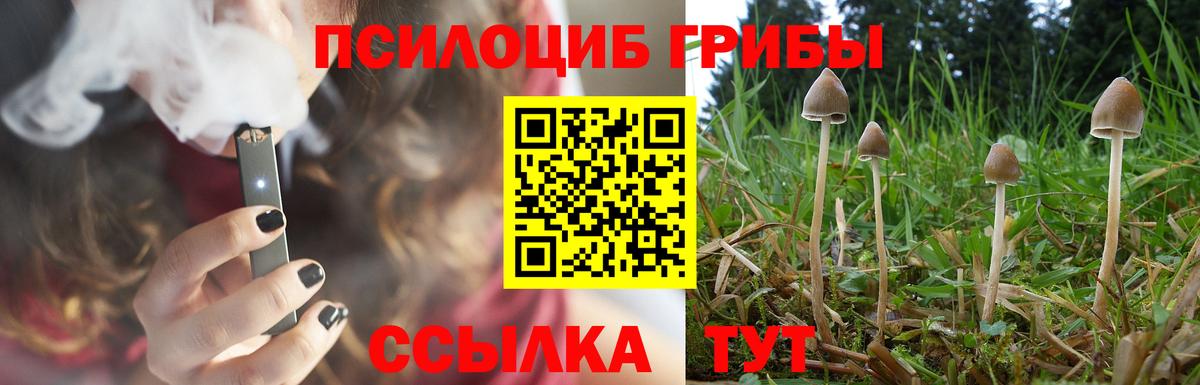 Галлюциногенные грибы Psilocybe  Вход с VPN  Белебей 
